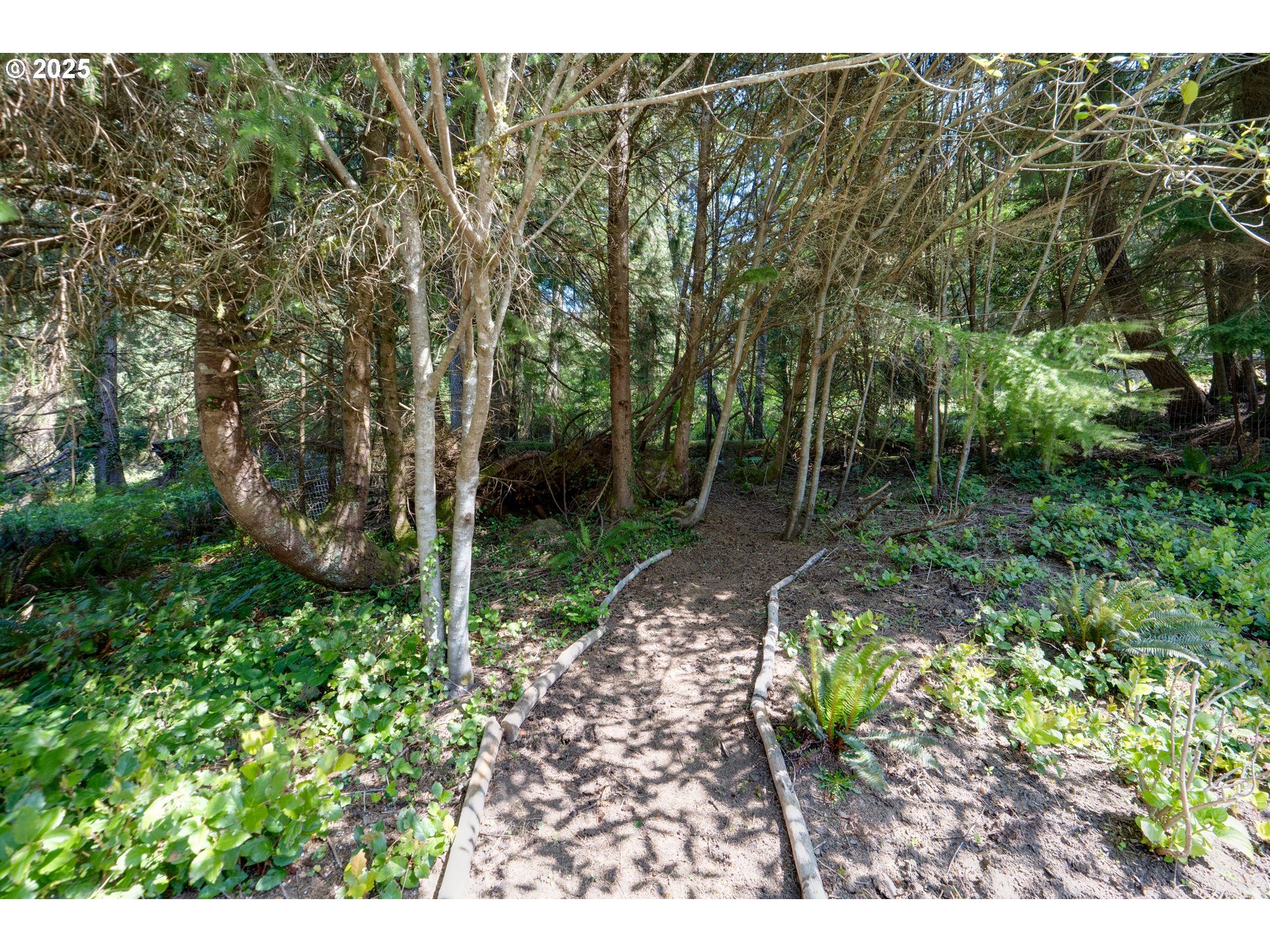 9330 Dewolf Road Nehalem, OR 97131 - Photo 23 of 24 a view of a back yard