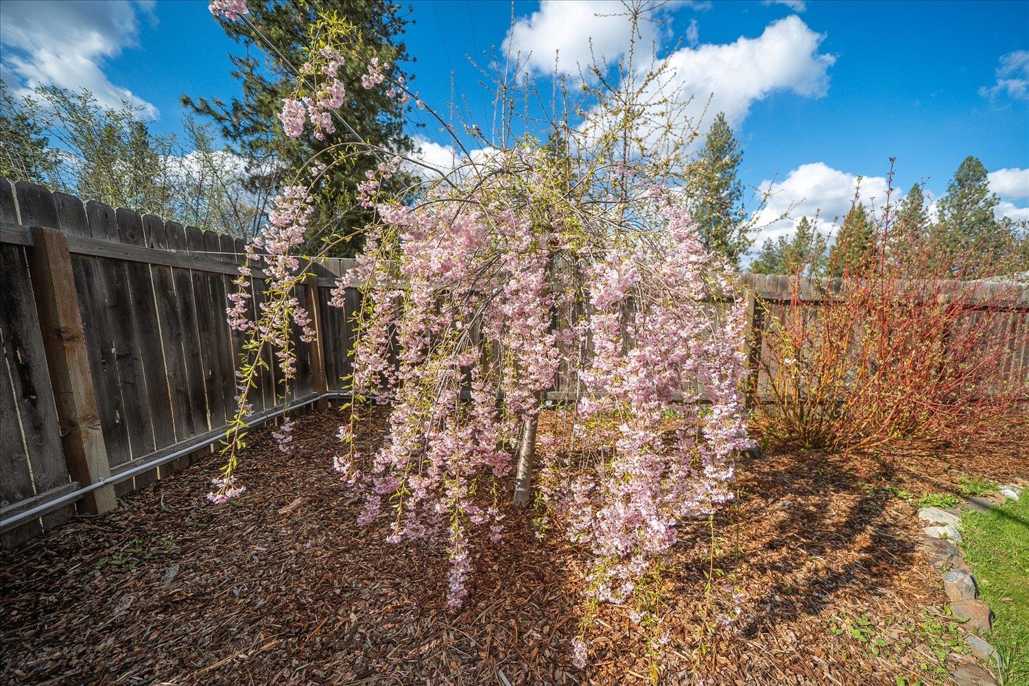 6713 North Stevens Street Spokane, WA 99208 - Photo 33 of 39 Gallery Image 33