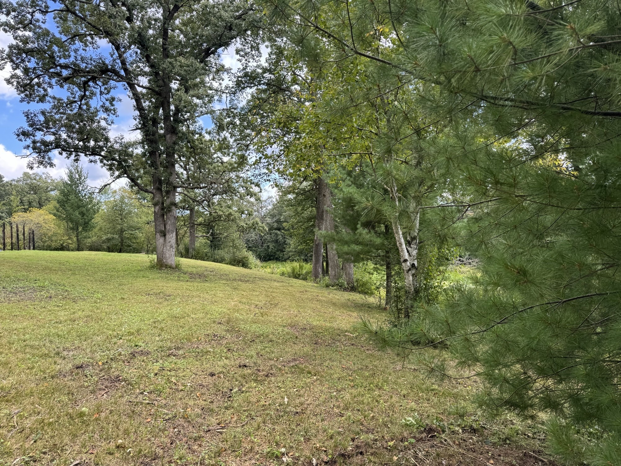 Lot 28 21st Street Rice Lake, WI 54868 - Photo 5 of 40