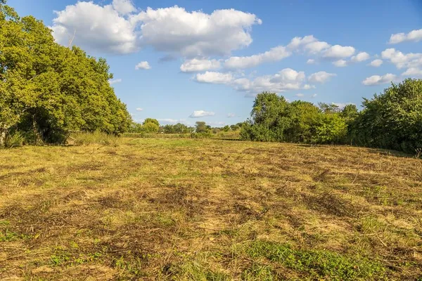 $222,200 | 6 South Rush Road, Archie, MO 64725