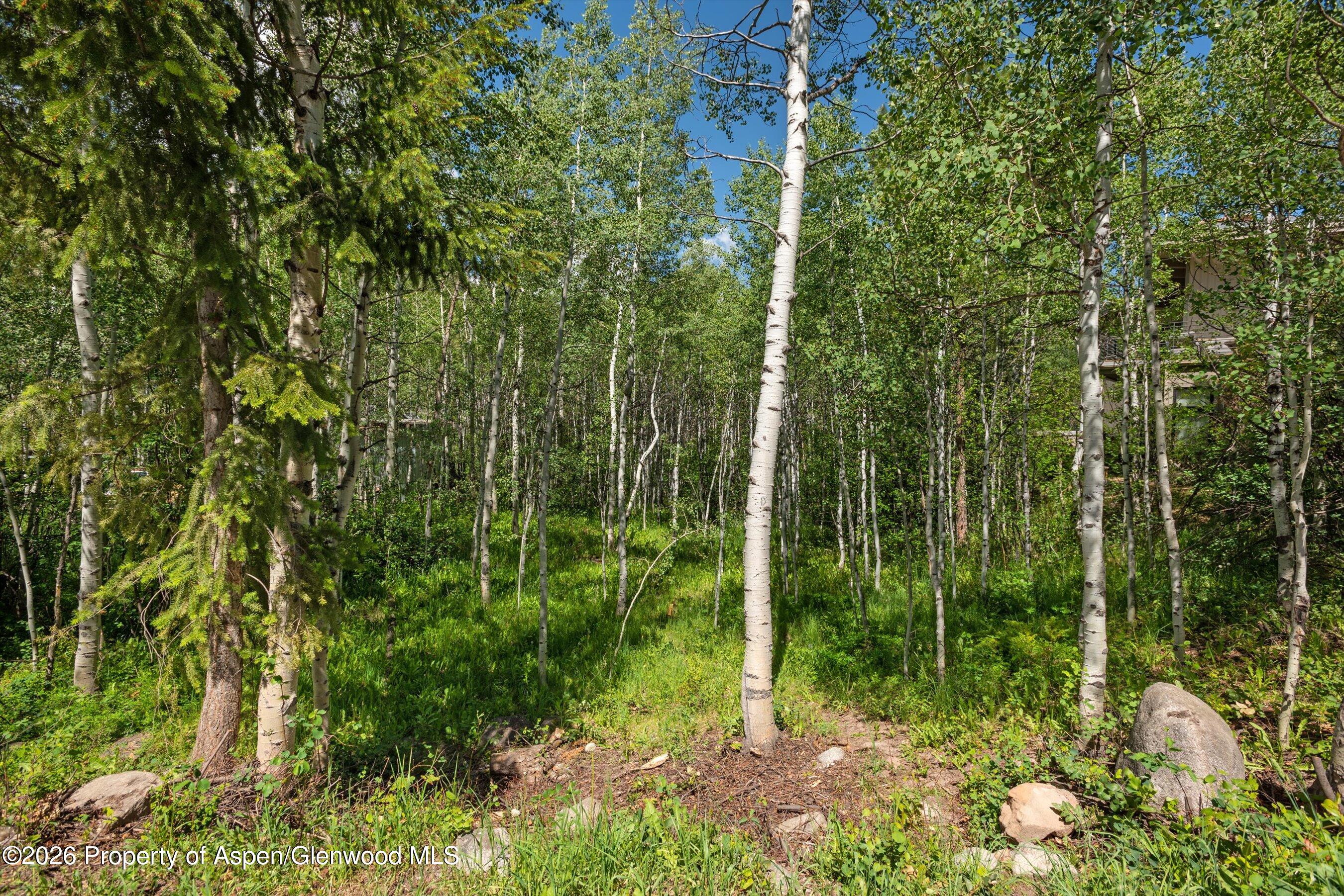 1265 Riverside Drive Aspen, CO 81611 - Photo 5 of 11