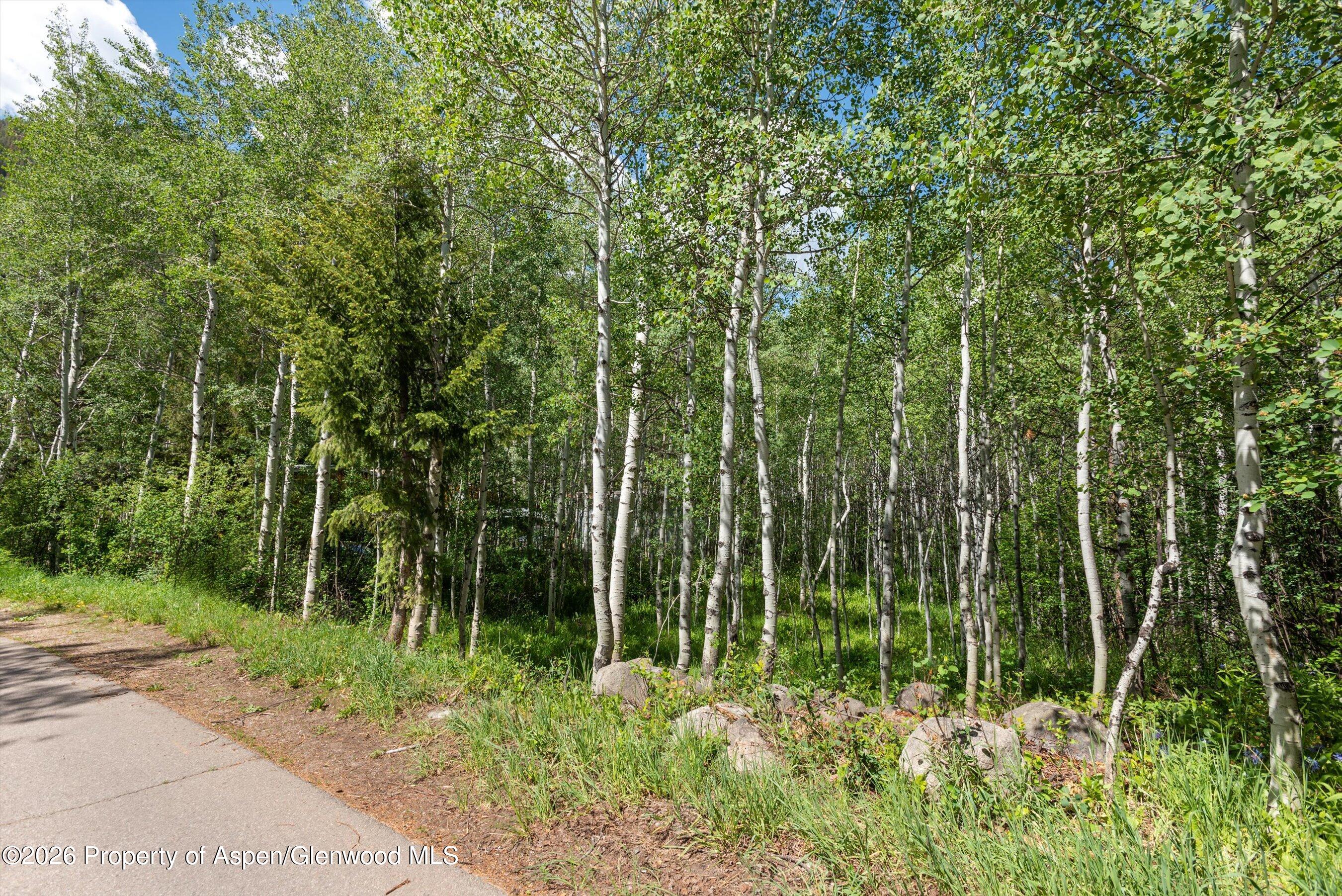 1265 Riverside Drive Aspen, CO 81611 - Photo 6 of 11 a view of forest