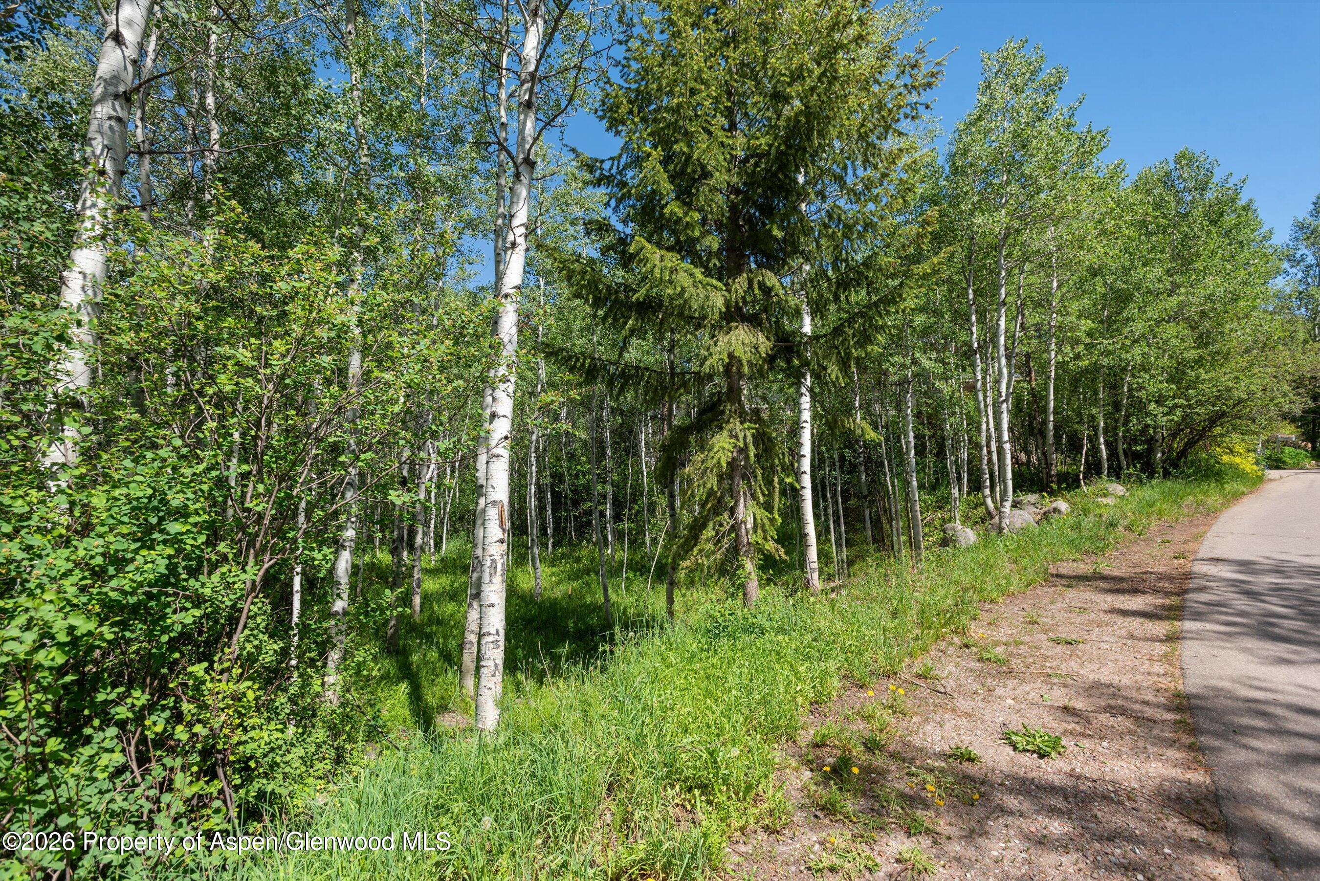 1265 Riverside Drive Aspen, CO 81611 - Photo 7 of 11 a green field with lots of trees