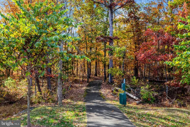 a view of a park with large trees