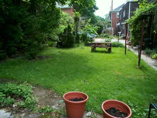 5528 Raleigh Street Pittsburgh, PA 15217 - Photo 8 of 8 Yard/Garden.