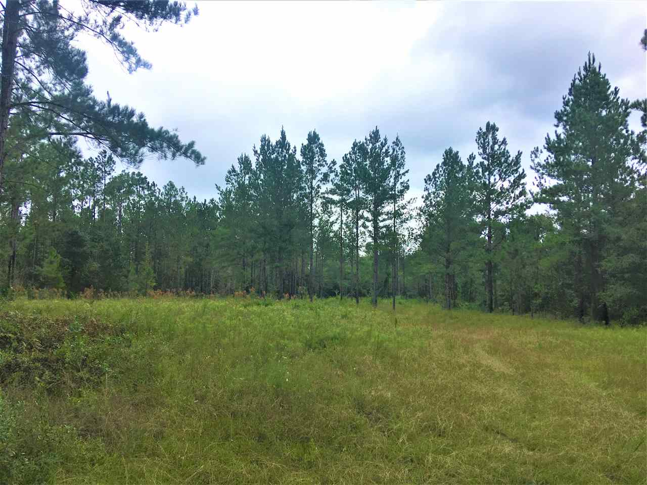 0 Dyas Road Perdido, AL 36562 - Photo 3 of 7