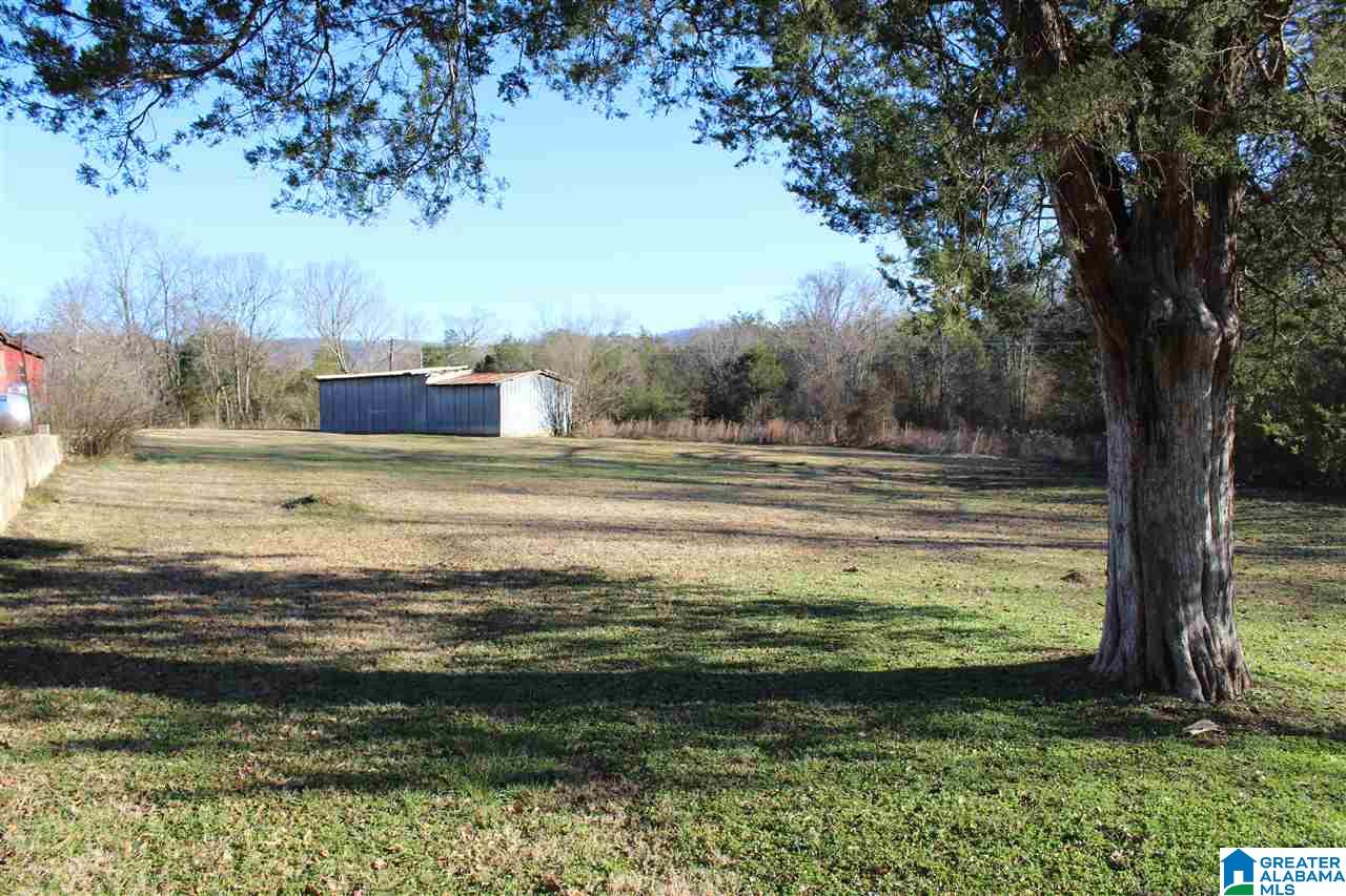 2610 Roy Webb Road Jacksonville, AL 36265 - Photo 37 of 39