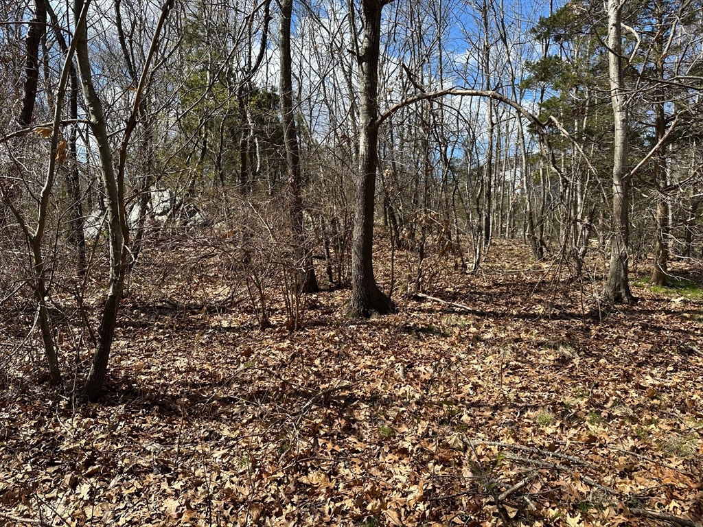 27 Old Pine Island Road Newbury, MA 01951 - Photo 1 of 9
