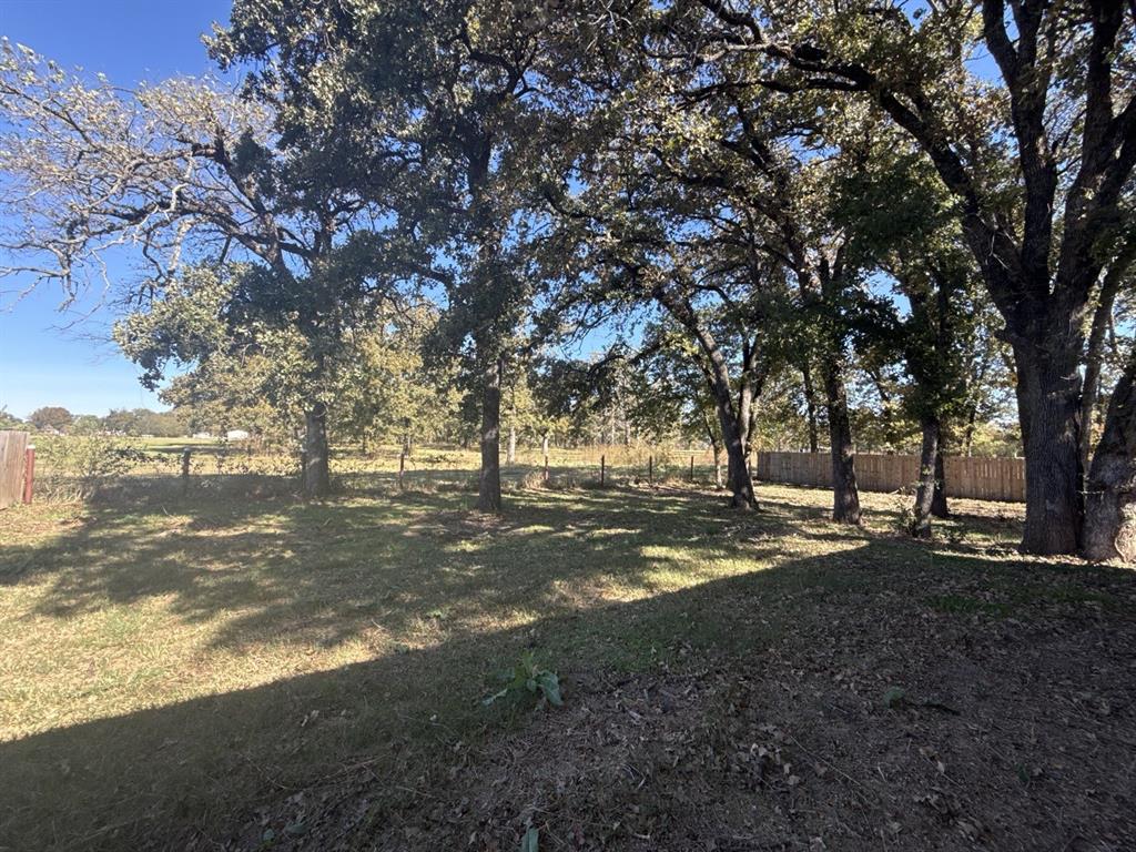 129 Towering Oaks Tool, TX 75143 - Photo 20 of 20 a view of a yard with a tree