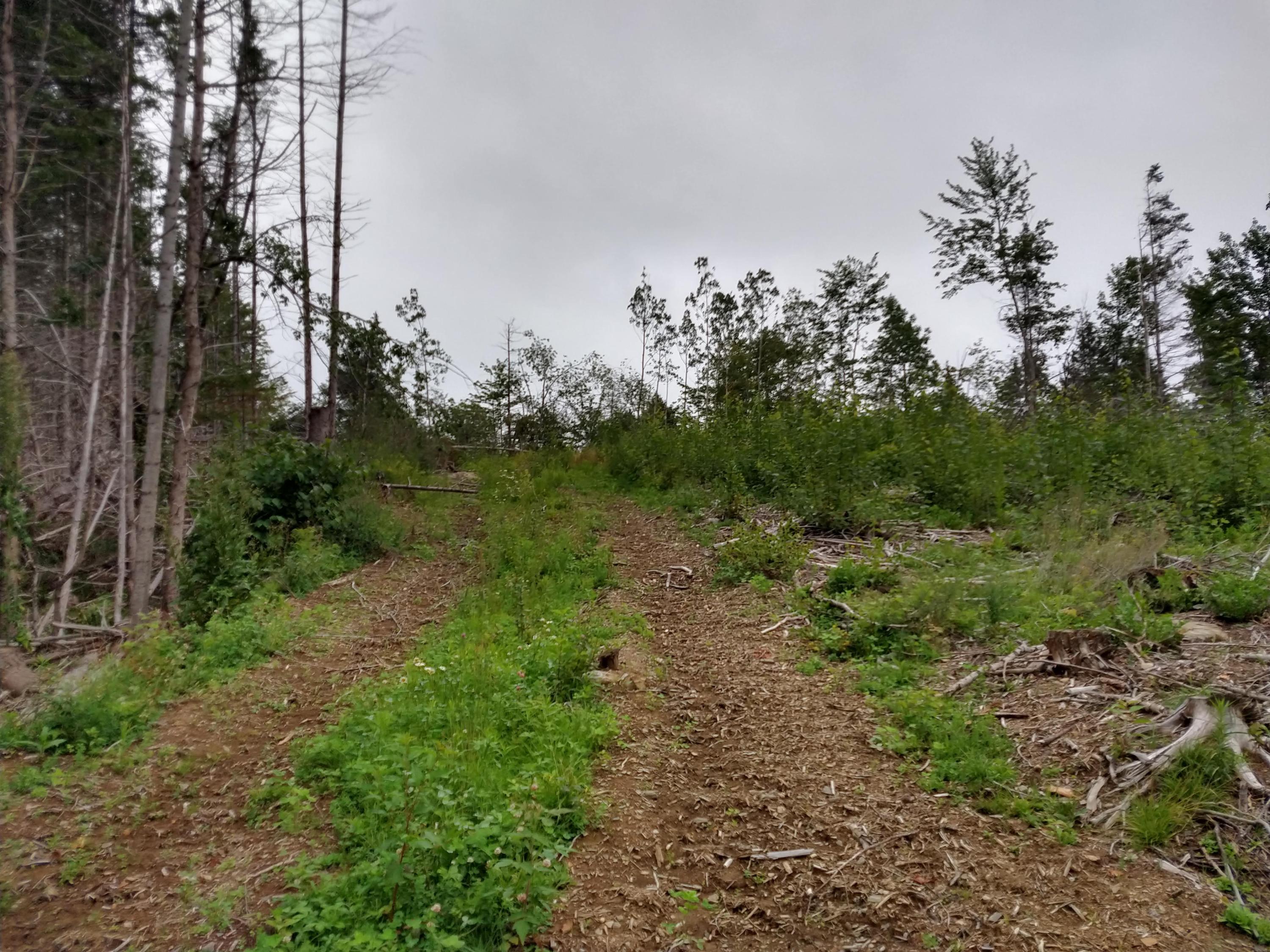 1 Hodgdon Mills Road Linneus, ME 04730 - Photo 9 of 11 IMG_20190819_160317638_HDR