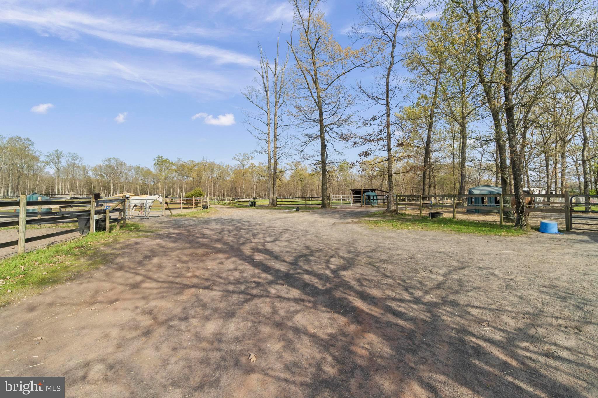 24 Oriental Road Shamong, NJ 08088 - Photo 50 of 67