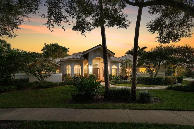 a view of a park with large trees