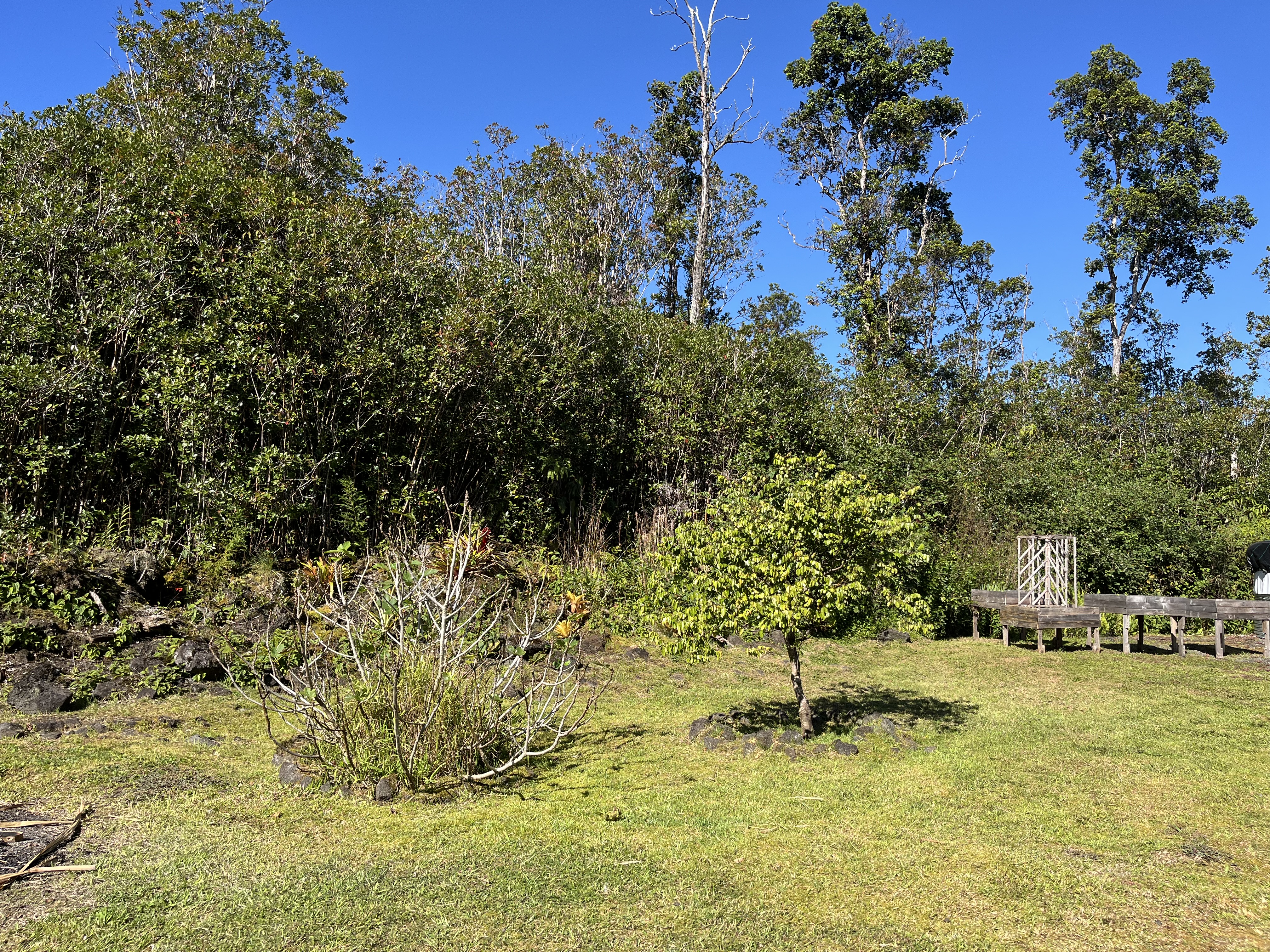 11-2094 Makoa Road Mountain View, HI 96771 - Photo 24 of 30