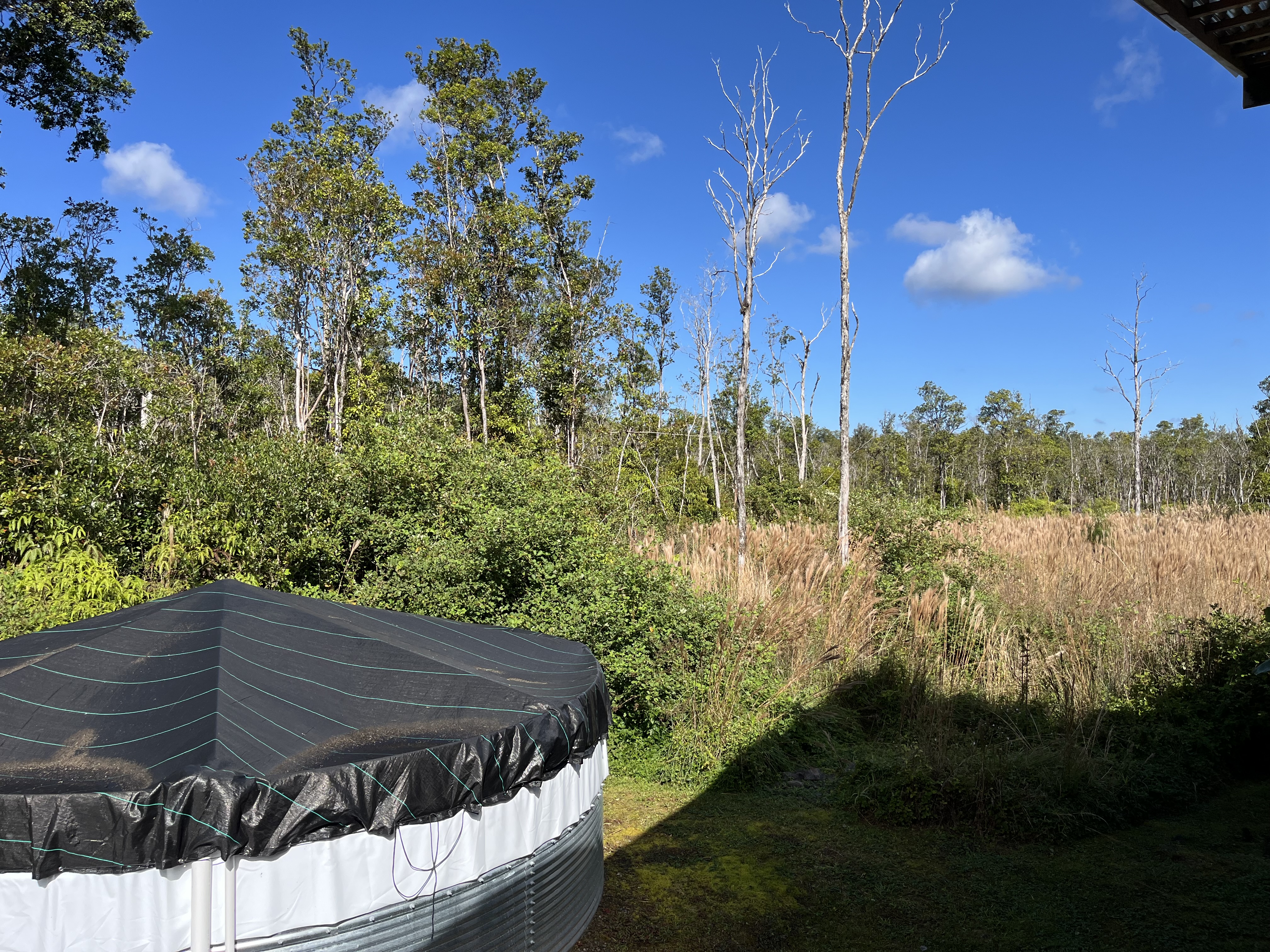 11-2094 Makoa Road Mountain View, HI 96771 - Photo 26 of 30