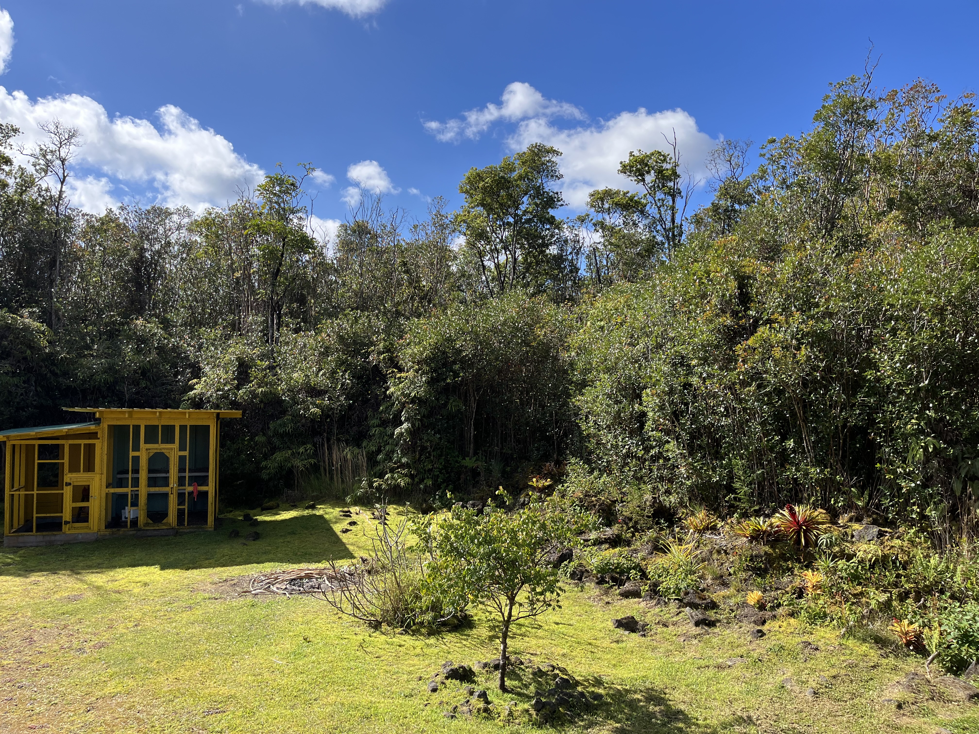 11-2094 Makoa Road Mountain View, HI 96771 - Photo 4 of 30