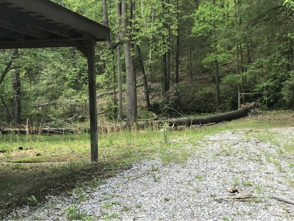 180 J B Griffith Road Erwin, TN 37650 - Photo 3 of 11 Photo 3
