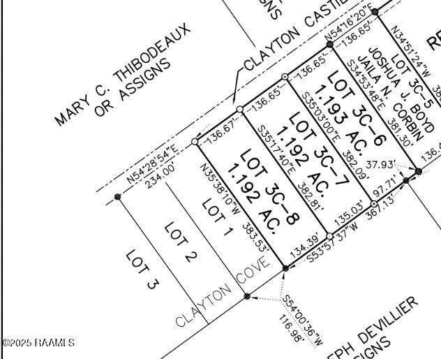 Screen Shot 2025-06-10 at 3.33.18 PM