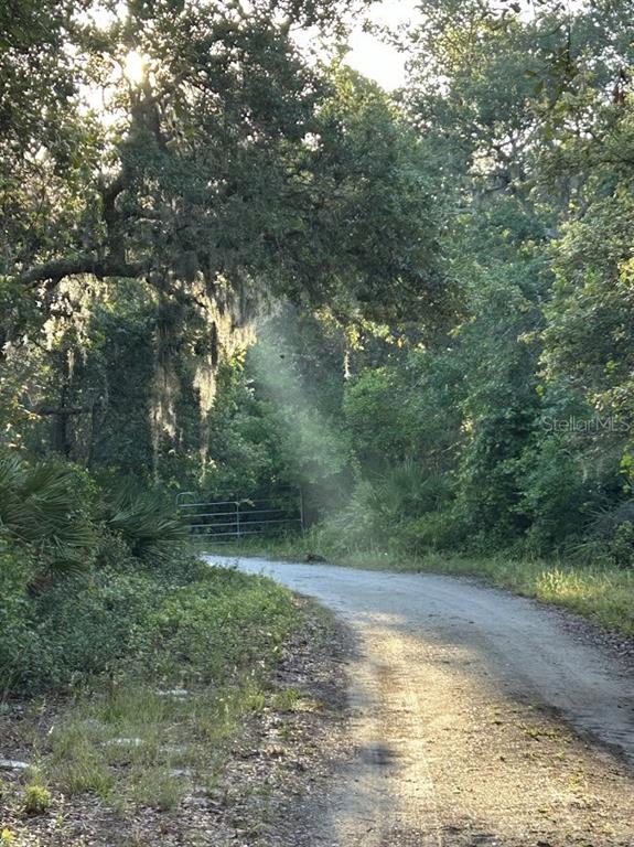14635 Dupree Road Wimauma, FL 33598 - Photo 32 of 40