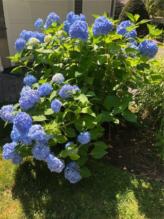 6 Princess Pine Road Lincoln, RI 02865 - Photo 39 of 40