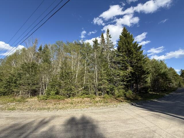 Lot 13 Pidgeon Point Road Whiting, ME 04691 - Photo 4 of 25 IMG_9952 (2)