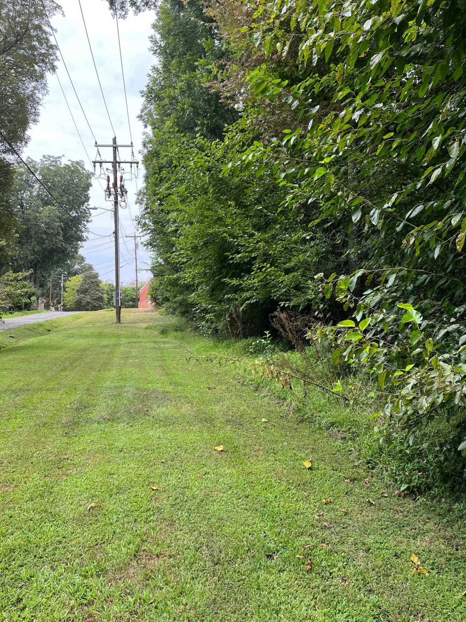 0 Maple Drive Oxford, NC 27565 - Photo 2 of 6 Photo 2