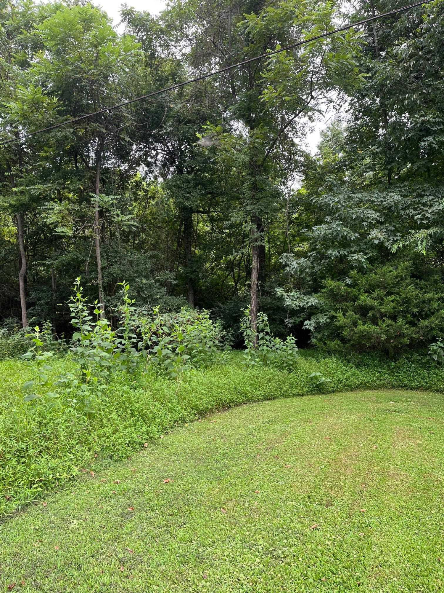 0 Maple Drive Oxford, NC 27565 - Photo 4 of 6 Photo 4