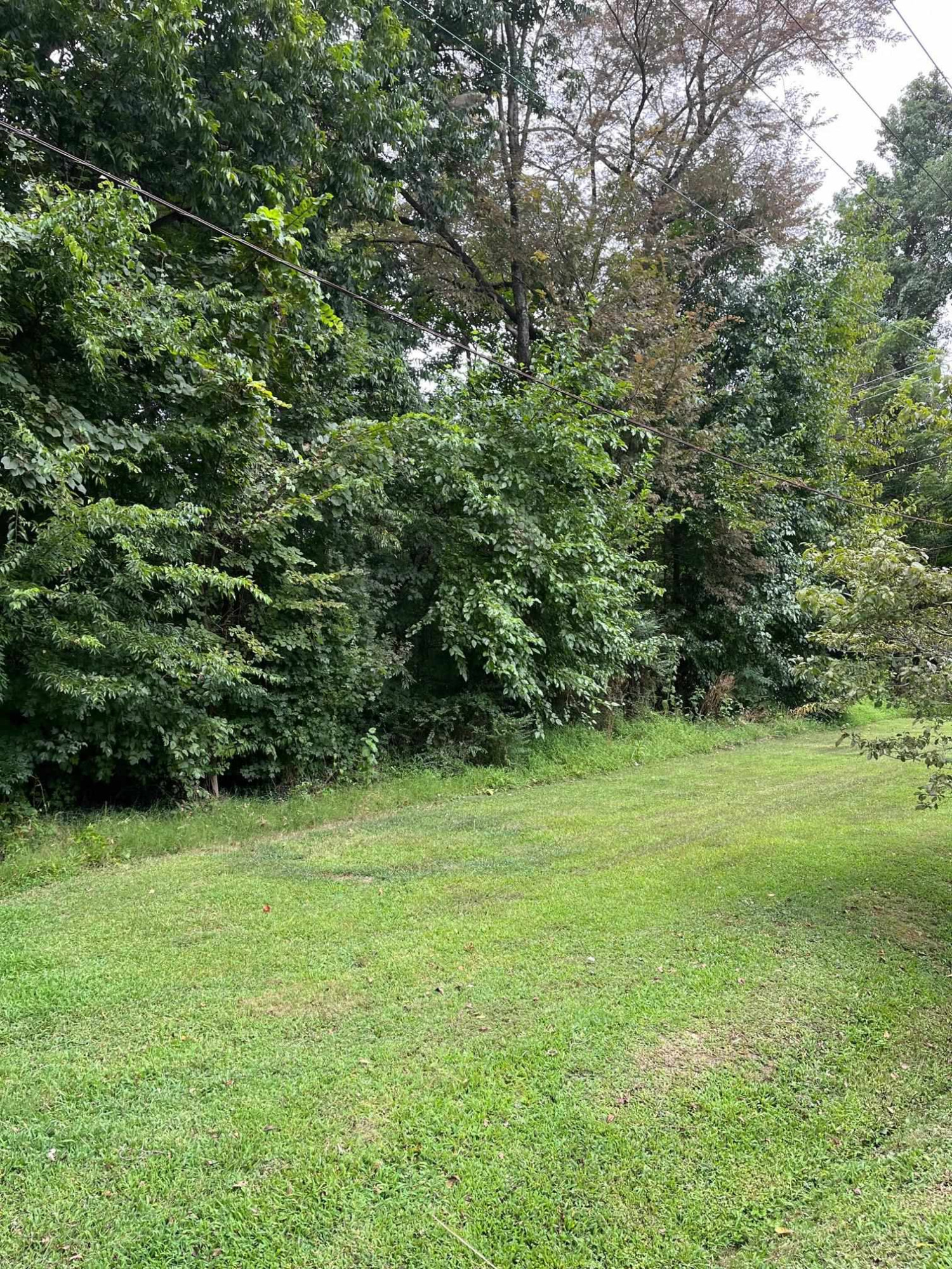 0 Maple Drive Oxford, NC 27565 - Photo 6 of 6 Photo 6