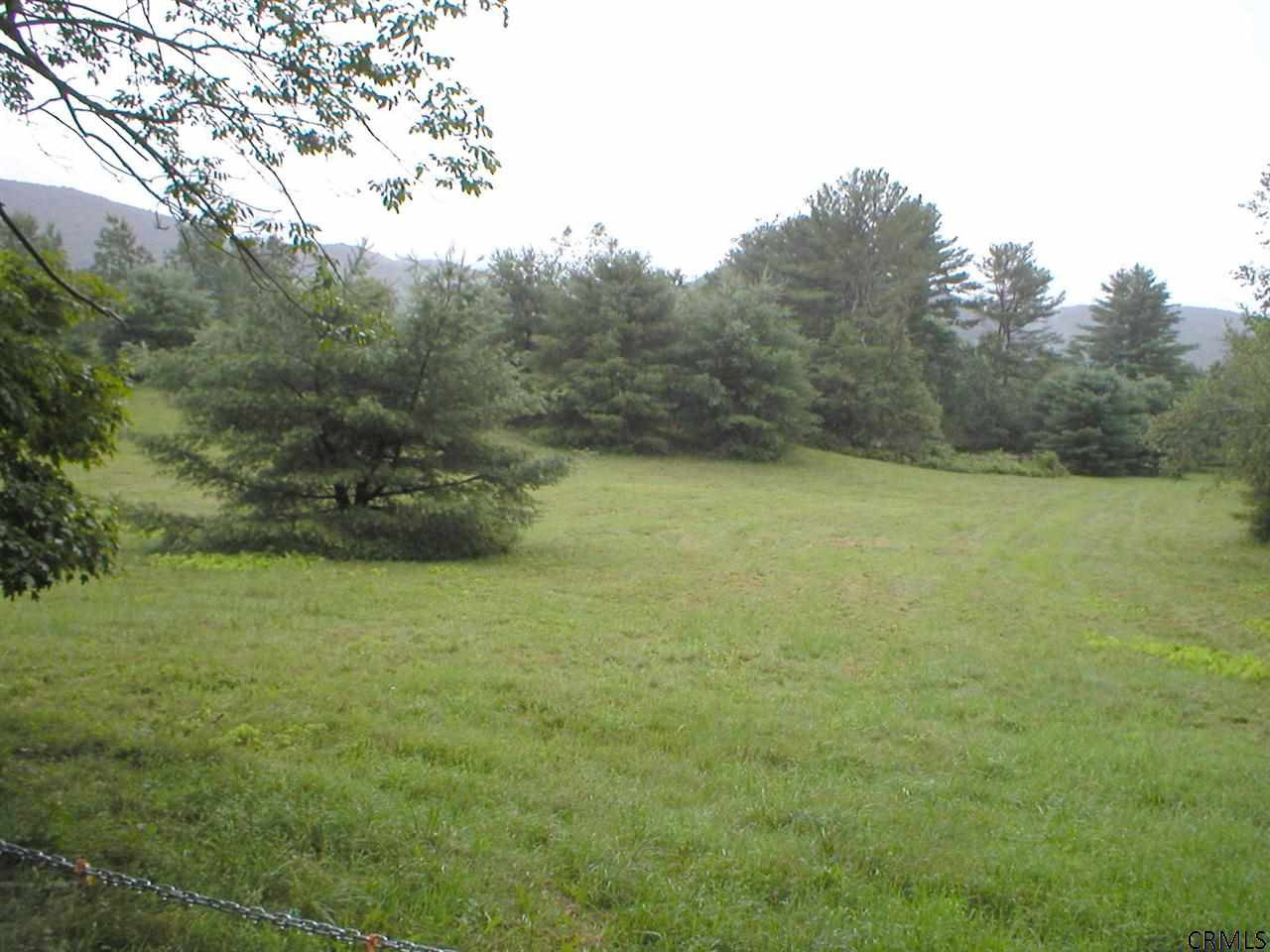 0 Binninger Road Shushan, NY 12873 - Photo 3 of 6 Photo 3