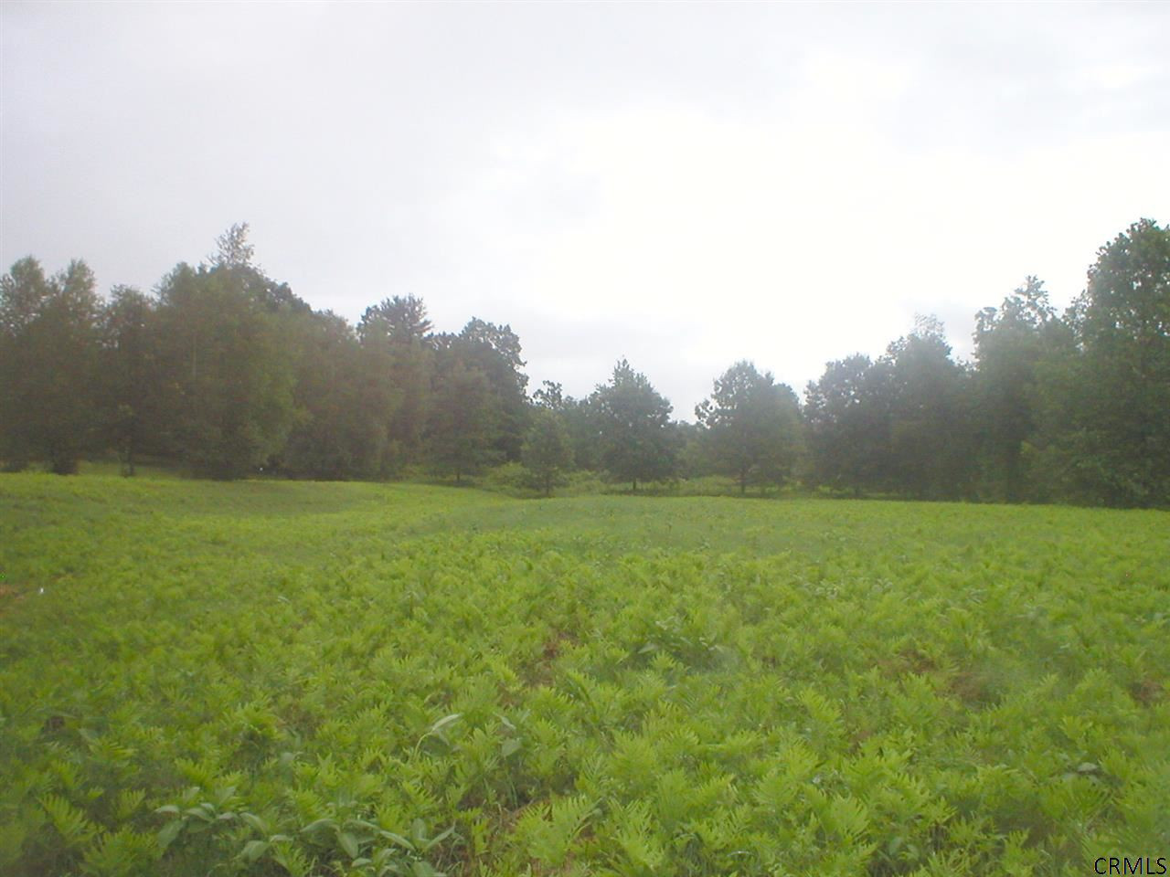 0 Binninger Road Shushan, NY 12873 - Photo 6 of 6 Photo 6