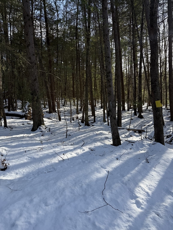 0 Four 4 Mile Brook Road Northfield, MA 01360 - Photo 2 of 11
