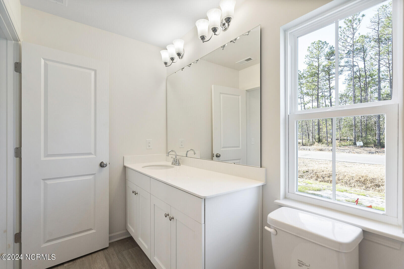 890 Downing Road Boiling Spring Lakes, NC 28461 - Photo 8 of 8 34_DSC07276_mls