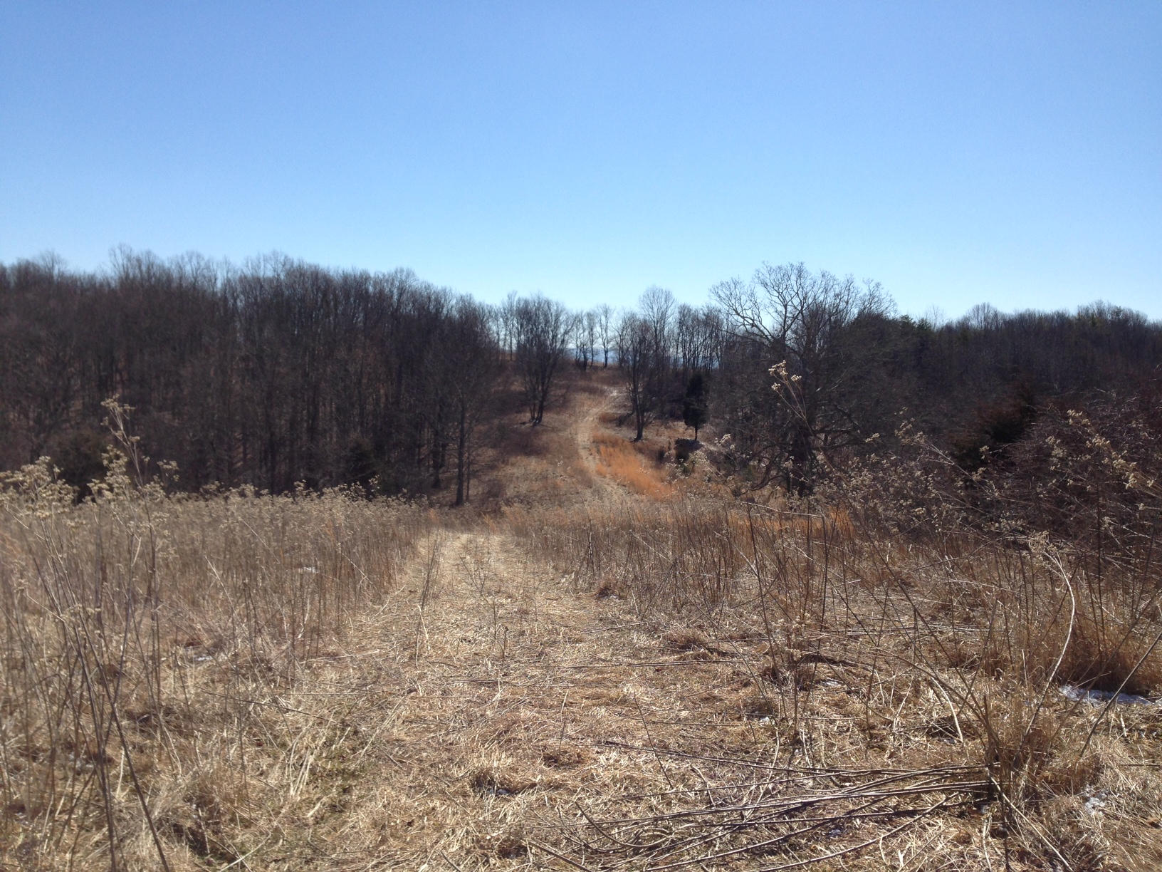 Dillon Road Forest Hill, WV 24935 - Photo 78 of 93 Gallery Image 78