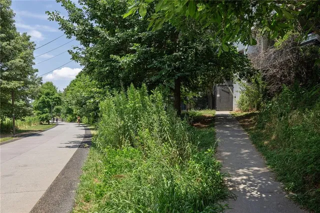 a view of a back yard