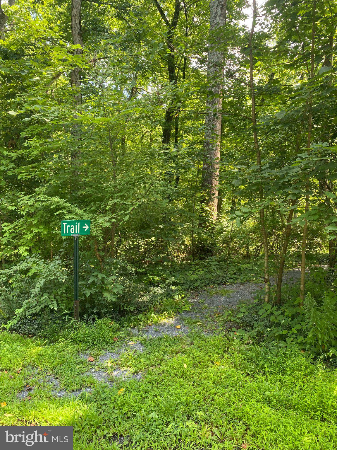 2181 Yerger Road Pottstown, PA 19464 - Photo 19 of 26 Pathway to Nature's Serenity