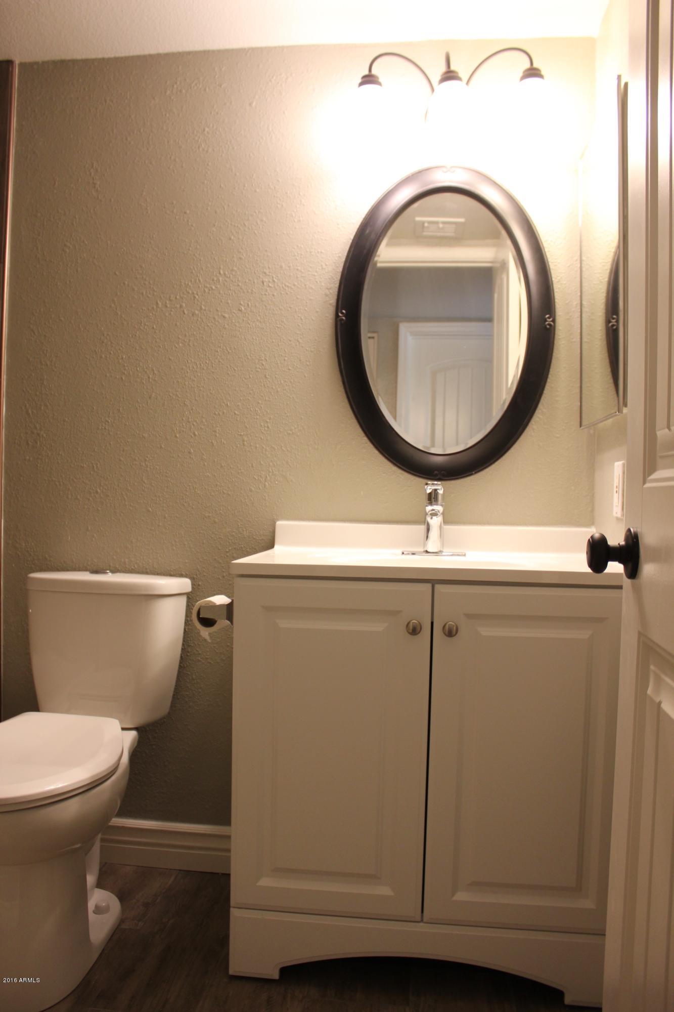 600 South Dobson Road, Unit 194 Mesa, AZ 85202 - Photo 15 of 28 Newly remodeled bathroom