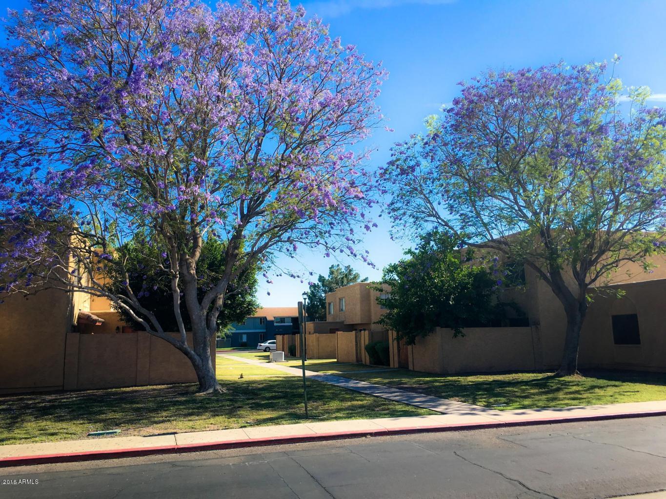 600 South Dobson Road, Unit 194 Mesa, AZ 85202 - Photo 25 of 28 Community Common Area Gorgeous Trees