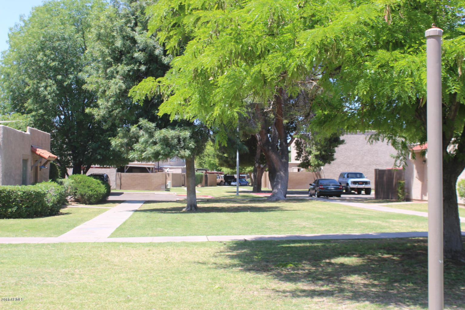 600 South Dobson Road, Unit 194 Mesa, AZ 85202 - Photo 27 of 28 Common Area Mature Trees and Lots of Gra