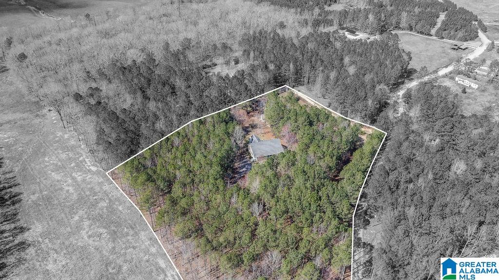 663 County Road 447 Heflin, AL 36264 - Photo 46 of 49