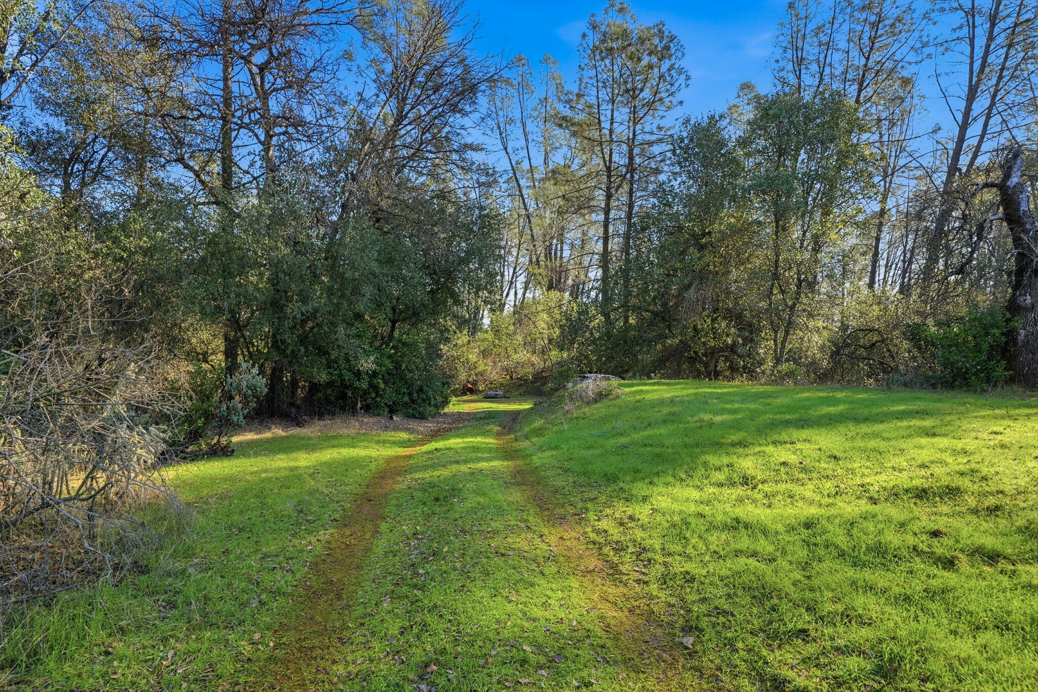 7766 Raven Road Redding, CA 96001 - Photo 14 of 24 12-web-or-mls-IMG-12