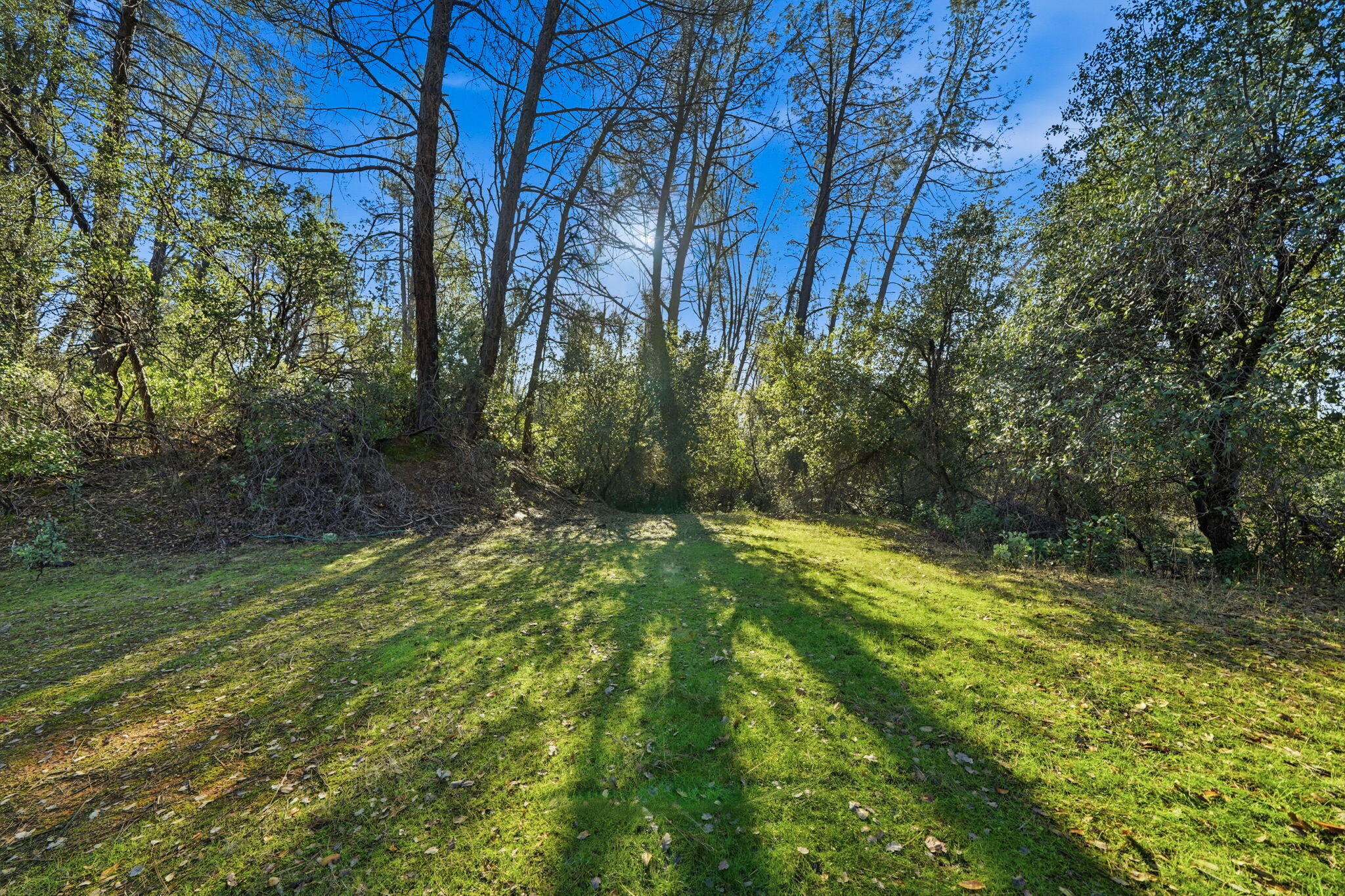 7766 Raven Road Redding, CA 96001 - Photo 17 of 24 15-web-or-mls-IMG-15