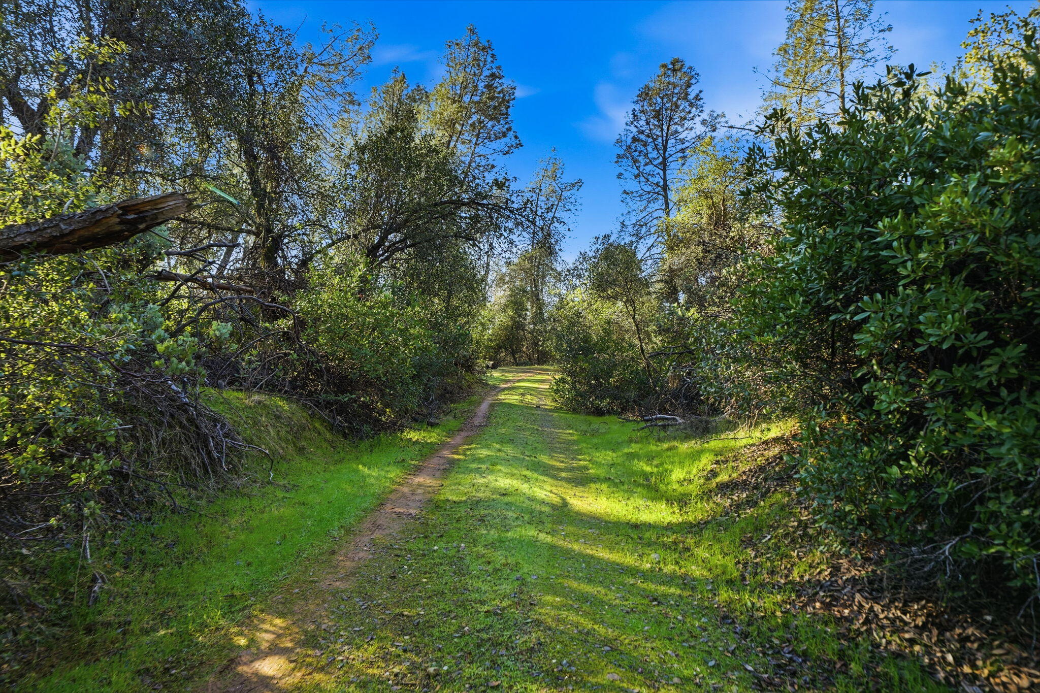 7766 Raven Road Redding, CA 96001 - Photo 5 of 24 3-web-or-mls-IMG-03
