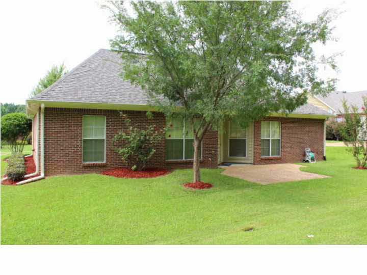 103 Bailey''s Ridge Circle Clinton, MS 39056 - Photo 45 of 50 Back View