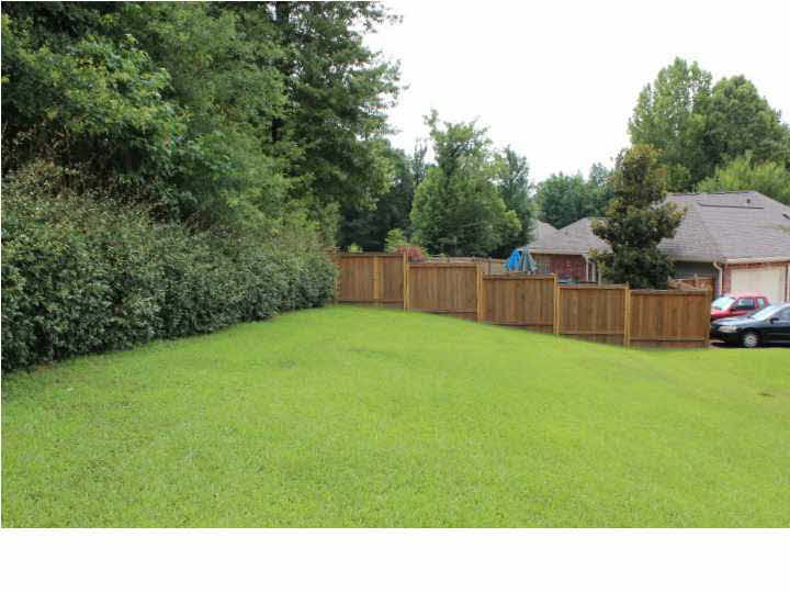 103 Bailey''s Ridge Circle Clinton, MS 39056 - Photo 46 of 50 Back View
