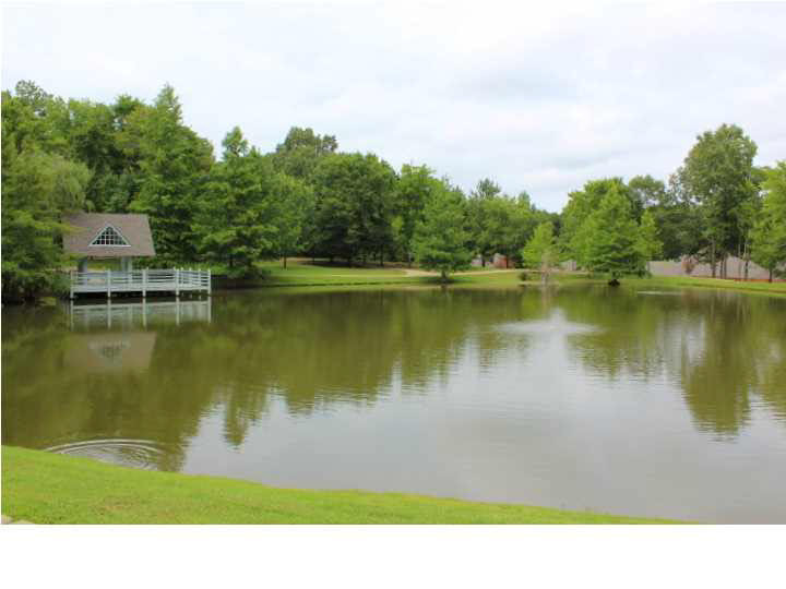 103 Bailey''s Ridge Circle Clinton, MS 39056 - Photo 49 of 50 Subdivision Lake