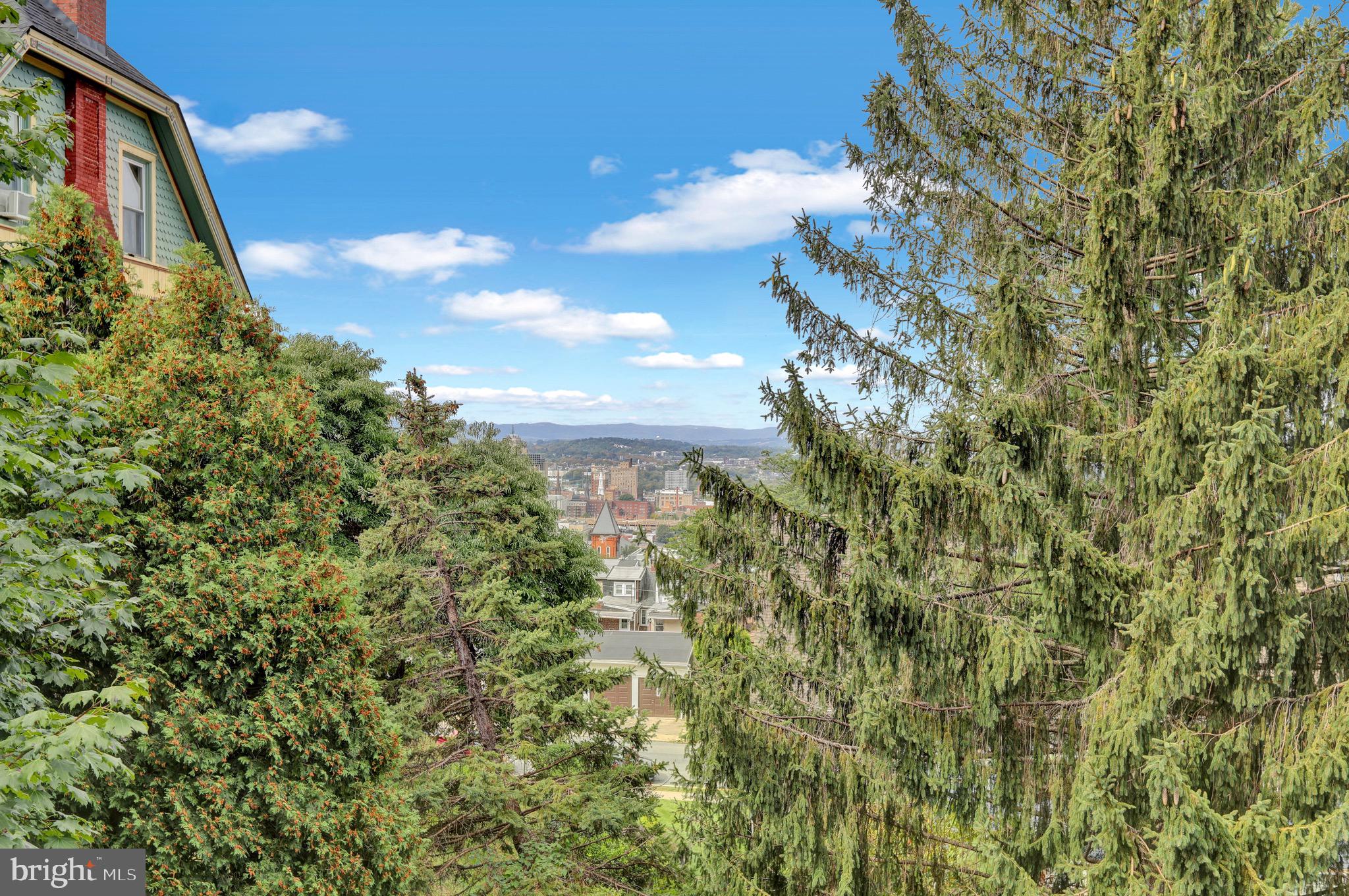 237 North 14th Street Reading, PA 19604 - Photo 6 of 26 a view of a yard