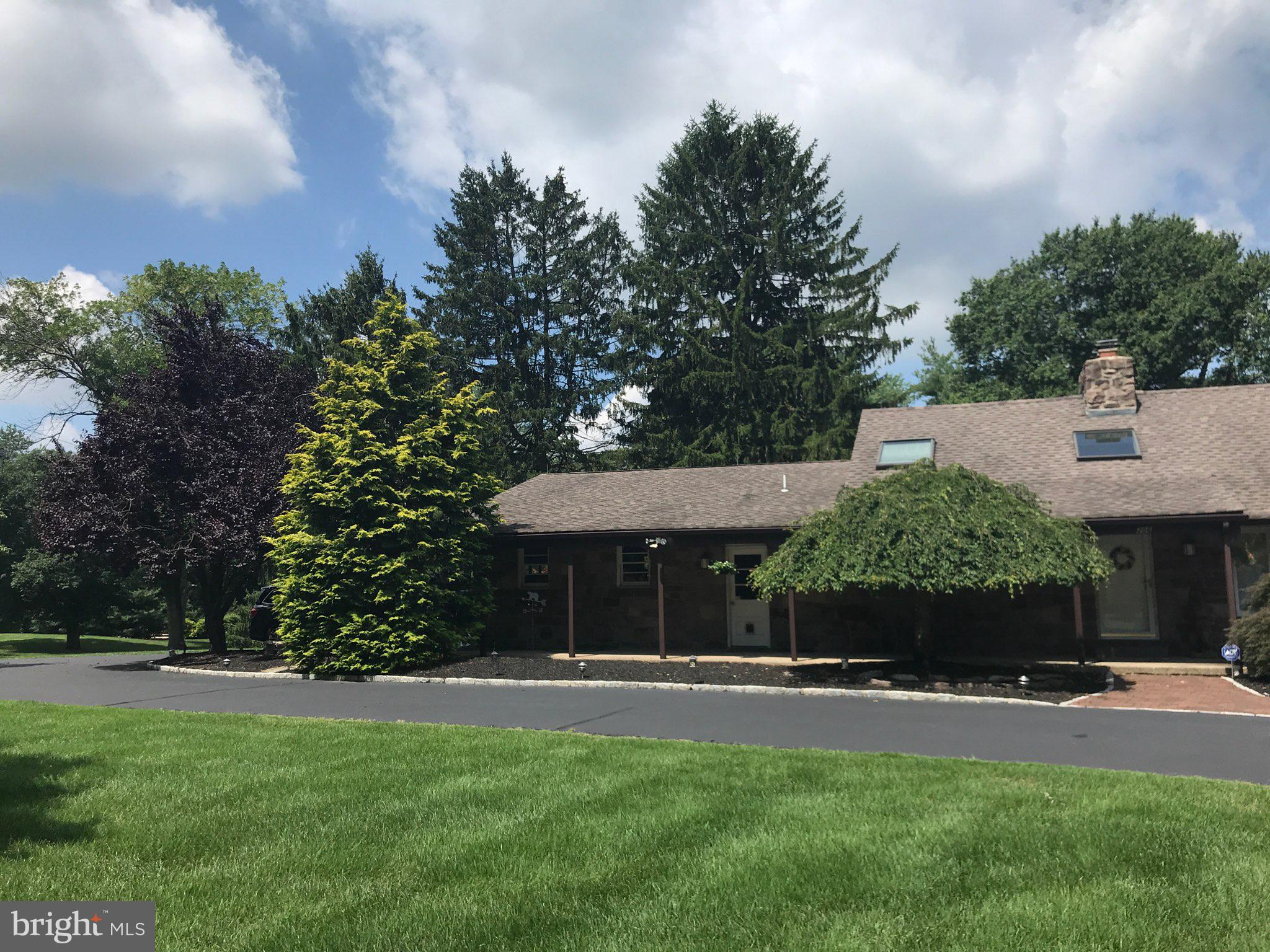 206 Burrs Road Westampton, NJ 08060 - Photo 2 of 115 Front yard last spring/summer