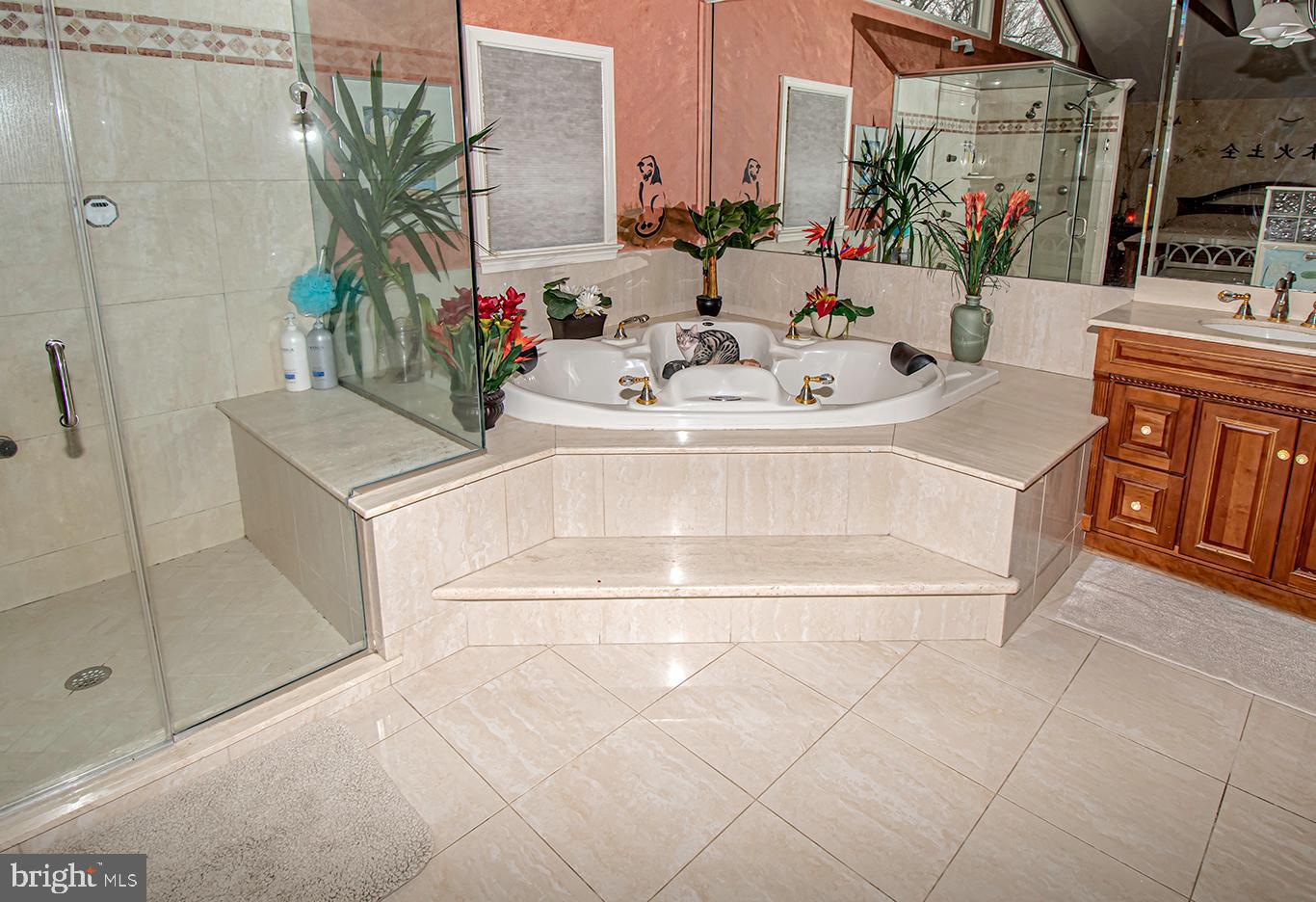 206 Burrs Road Westampton, NJ 08060 - Photo 56 of 115