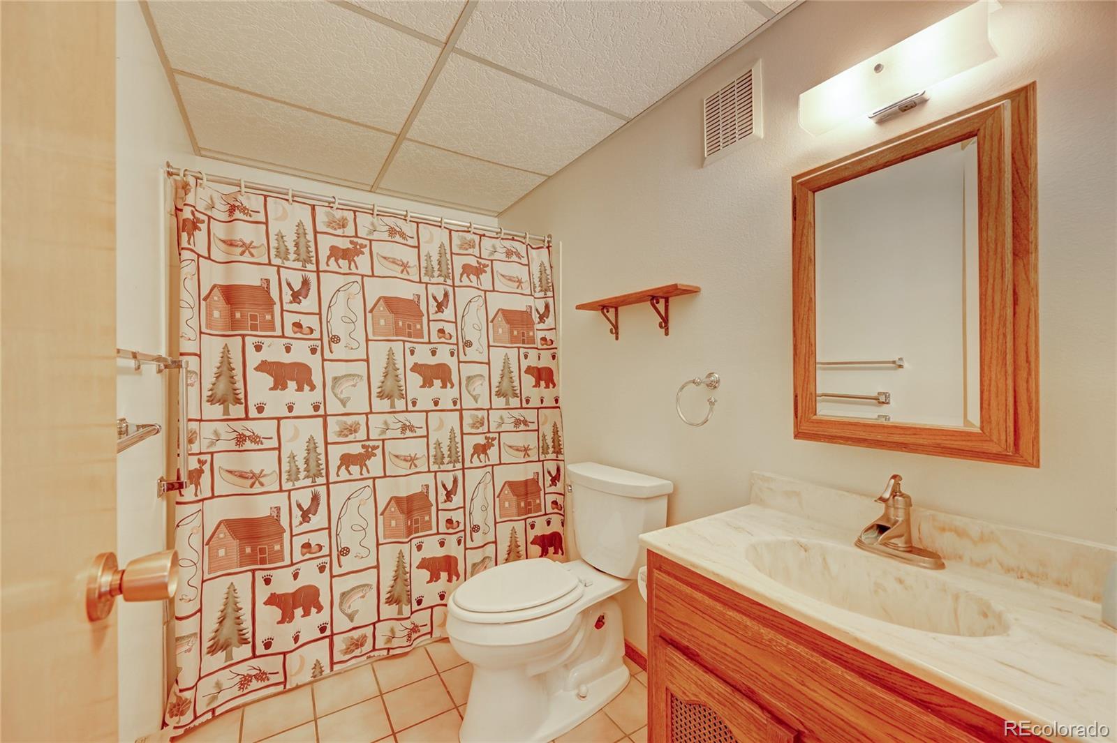 305 South Ridge Road Bailey, CO 80421 - Photo 28 of 40 Gallery Image 28