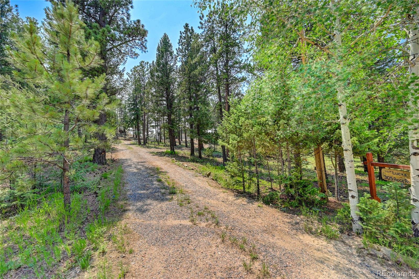 305 South Ridge Road Bailey, CO 80421 - Photo 10 of 40 Gallery Image 10