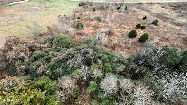 $60,000 | 107 Roaming Fawn Drive, Rockwood, TN 37854